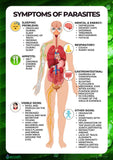 Parasite Cleanse