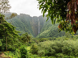 Wellness Retreat Destination Hawaii Kona September 14 - 20 , 2025